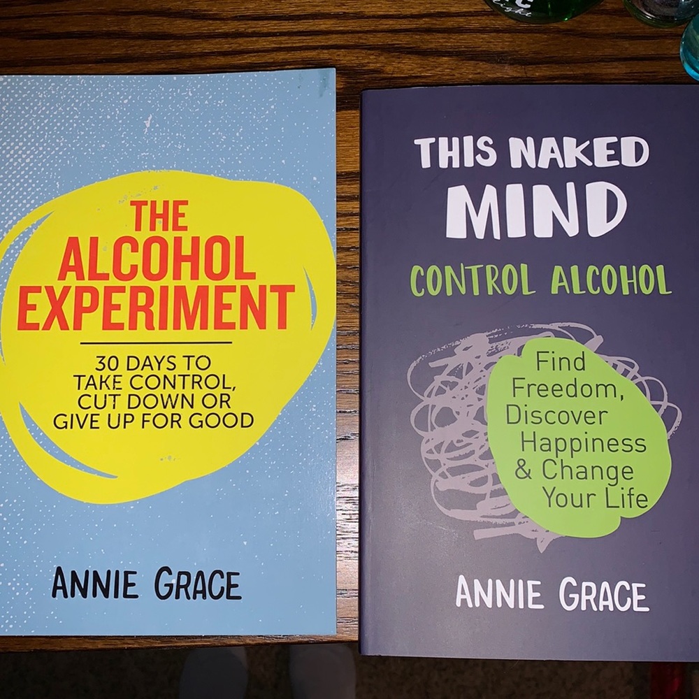 Alcohol Experience Naked Mind Annie Grace NEW
